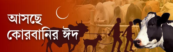 পশুর-হাট