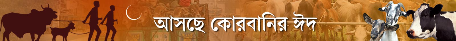 পশুর-হাট