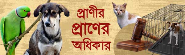 প্রাণী-অধিকার-দিবস-২০২৫