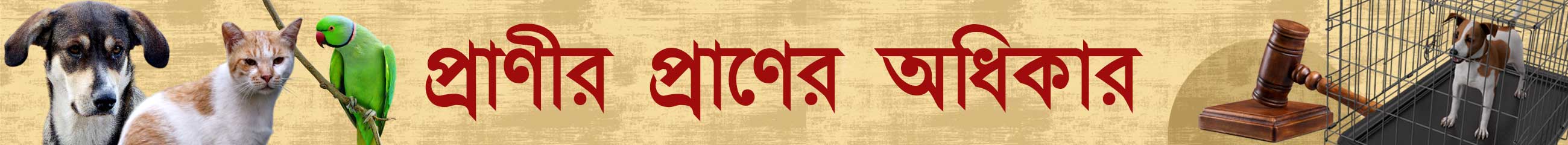 প্রাণী-অধিকার-দিবস-২০২৫