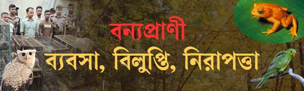 বন্যপ্রাণী