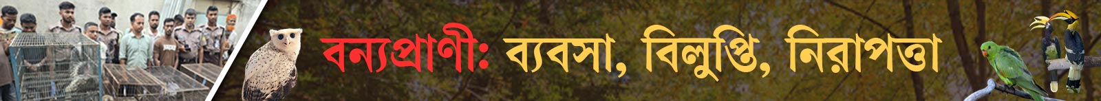 বন্যপ্রাণী