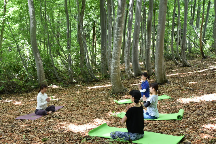 ১৯৮২ সালে জাপানের কৃষি, বন ও মৎস্য মন্ত্রণালয় ফরেস্ট বাথিং ধারণাটি চালু করে। সংগৃহীত ছবি