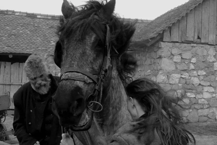 দ্য তুরিন হর্স সিনেমার একটি দৃশ্য। ভিডিও থেকে নেওয়া ছবি