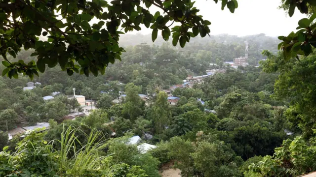 জঙ্গল সলিমপুর এলাকা। সংগৃহীত ছবি