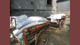 গাইবান্ধায় ব্যবসায়ীর বাড়িতে মজুত ২১ বস্তা সার জব্দ, জরিমানা