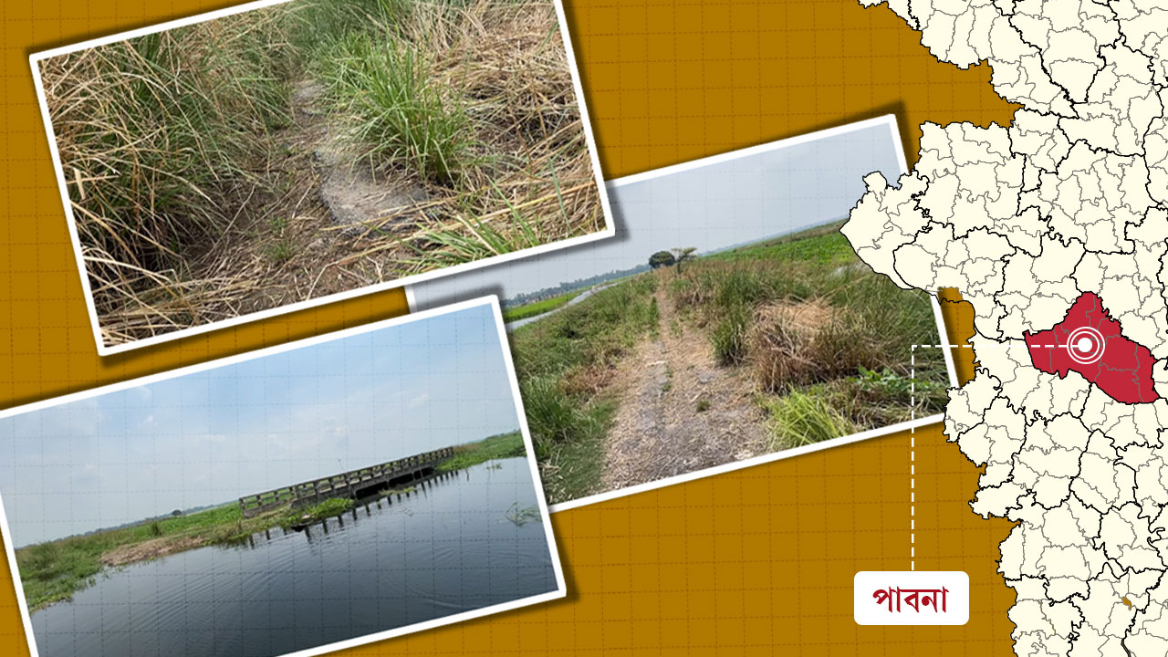 কর্মব্যস্ত সড়কে এখন ঝোপঝাড়, দুর্ভোগে ১০ গ্রামের মানুষ

