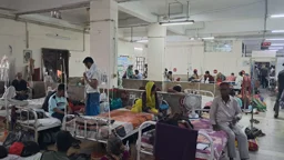 চট্টগ্রামে ডেঙ্গু: ৭ মাসের শনাক্ত ছাড়াল আগস্টেই
