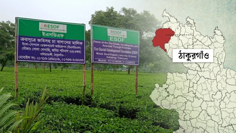 স্ট্রিম গ্রাফিক