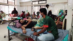 সাত মাসে ডেঙ্গু রোগী ১৫ হাজার, এক আগস্টেই ২০ হাজার