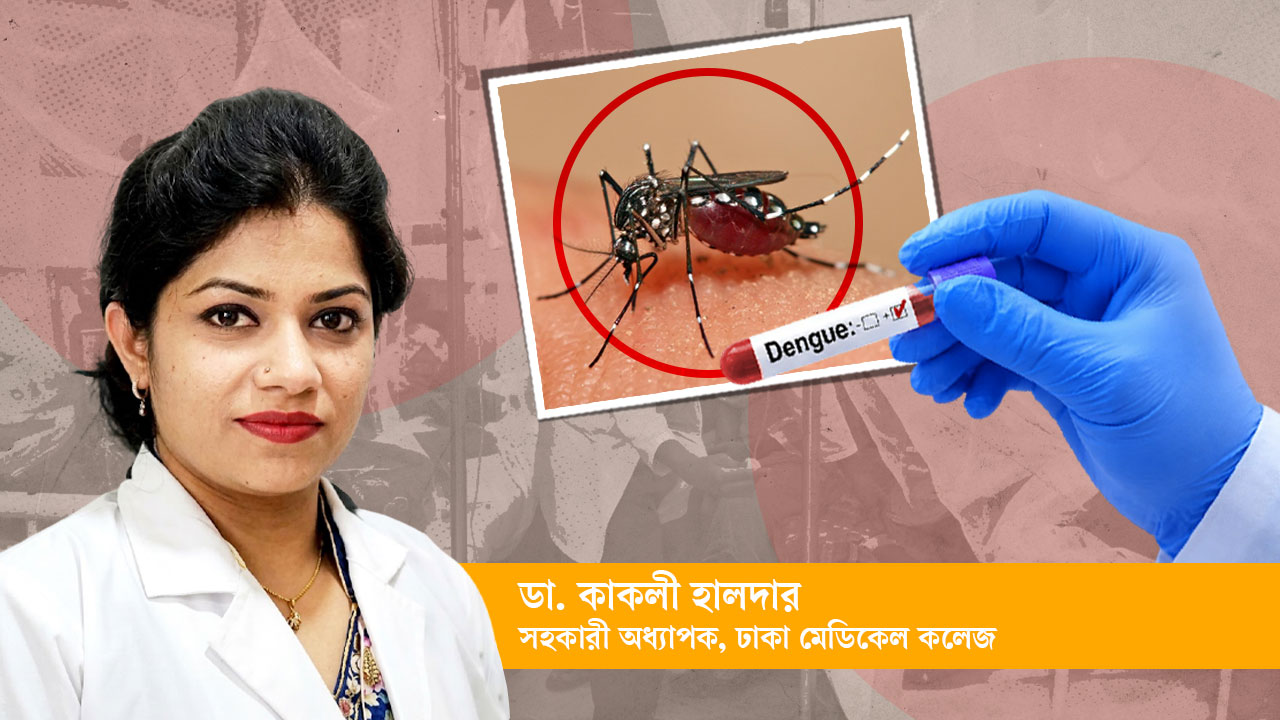 ডেঙ্গু: দ্বিতীয়বার সংক্রমণ, প্লাটিলেট ও বিপদসংকেত নিয়ে যা জানা জরুরি। স্ট্রিম গ্রাফিক