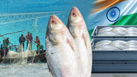স্ট্রিম গ্রাফিক