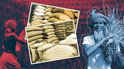 নতুন নেতৃত্ব: শুরুতেই প্রয়োজন ১০০ দিনের খাদ্য নিরাপত্তা কর্মপরিকল্পনা