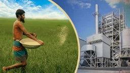 বছরে কত সার ব্যবহার হয়, উৎপাদন কোথায়