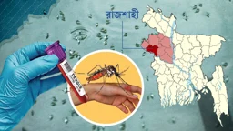 রাজশাহীতে দুই মাসে দ্বিগুণ এডিস লার্ভা, বাড়ছে ডেঙ্গু রোগী