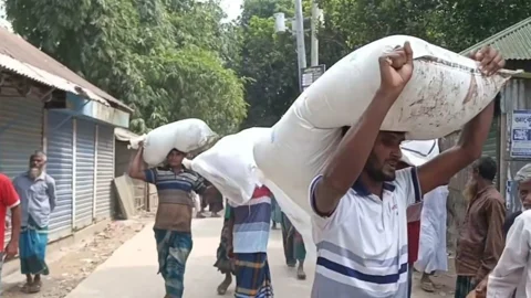 কুড়িগ্রামে ডিলারের গুদাম ভেঙে বস্তা সার নিয়ে যাচ্ছেন কৃষকেরা। সংগৃহীত ছবি