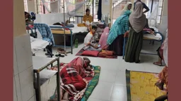 রাজশাহী বিভাগে সর্বোচ্চ ডেঙ্গু রোগী চাঁপাইনবাবগঞ্জে