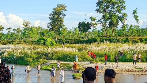 বিস্তীর্ণ কাশফুল দেখতে প্রতিদিন ভিড় করেন প্রকৃতিপ্রেমীরা। স্ট্রিম ছবি