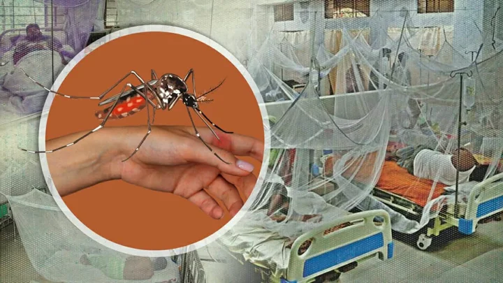স্ট্রিম গ্রাফিক্স