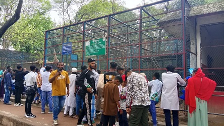 জাতীয় চিড়িয়াখানা। ছবি: সংগৃহীত