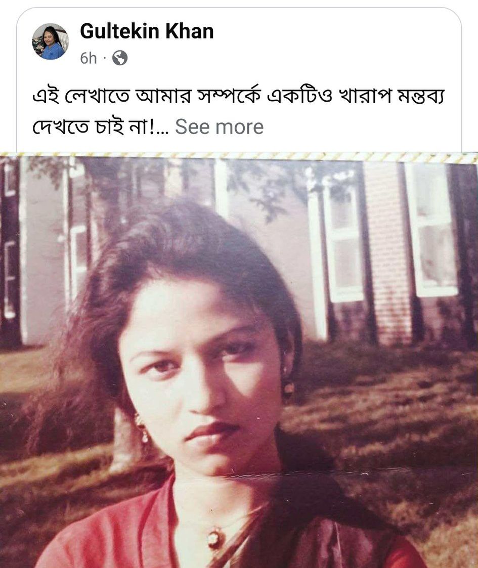গুলতেকিন খানের সেই স্ট্যাটাস। সংগৃহীত