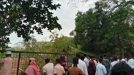 জাতীয় চিড়িয়াখানা। ছবি: সংগৃহীত