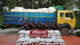 পাচার চেষ্টাকালে ব্রাহ্মণবাড়িয়ায় ২৪ টন সার উদ্ধার