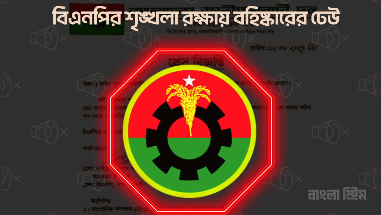 মহাখালীর হোটেলে হামলার ভাইরাল ভিডিও থেকে রাজশাহীর ফোনালাপ, বিএনপিতে কয়েক হাজার বহিষ্কার