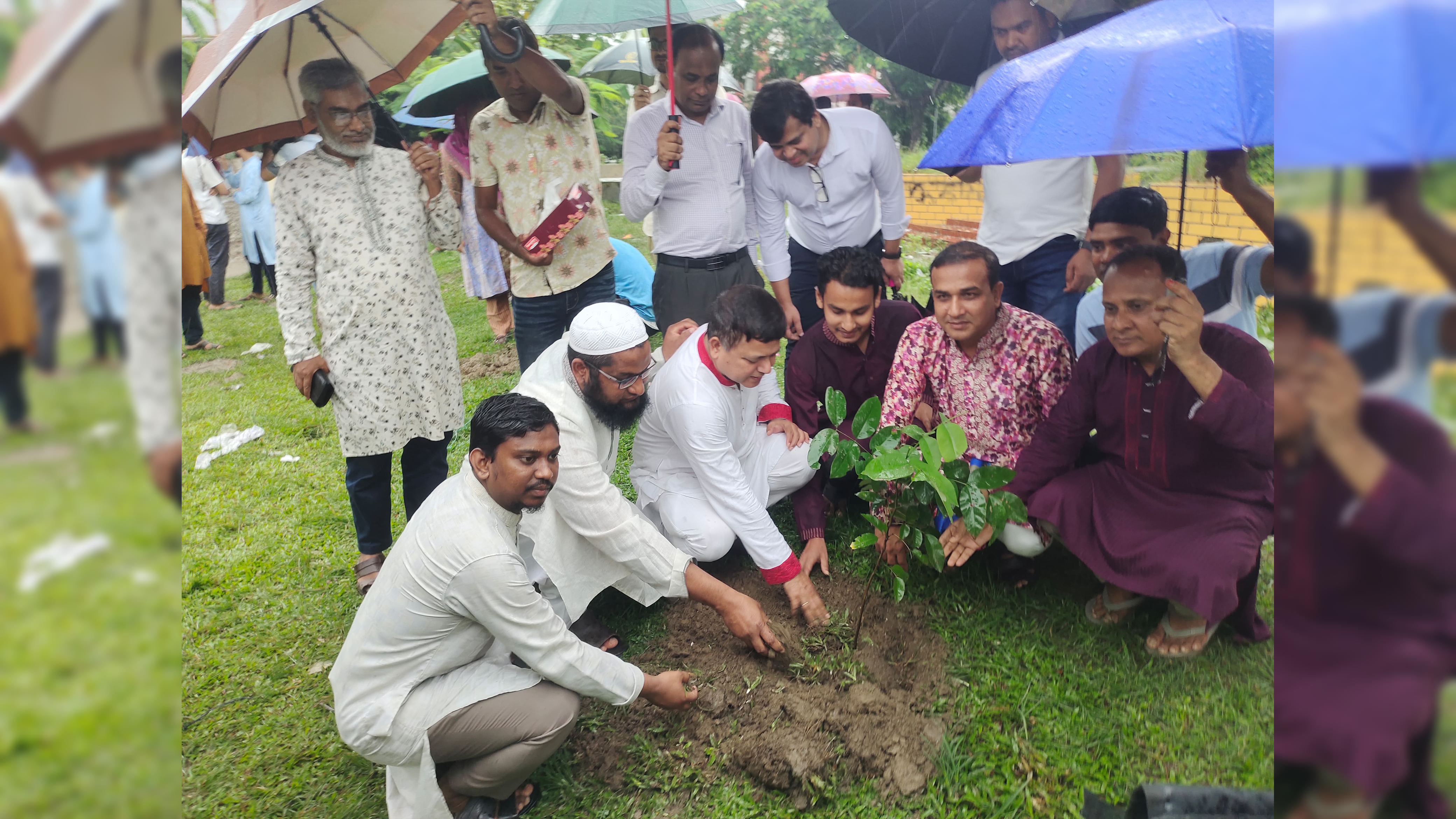বেরোবিতে দুই দিন মারামারির পর গত ৫ আগস্ট বৃক্ষরোপণ করেন ছাত্রদল ও শিবিরের নেতারা। ছবি: সংগৃহীত