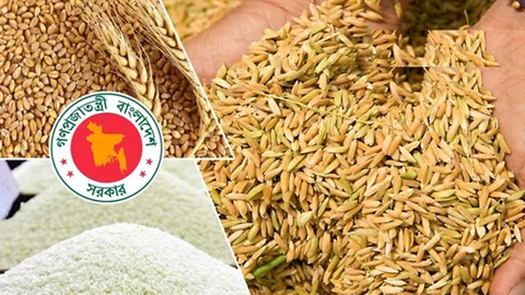 বোরো সংগ্রহ লক্ষ্যমাত্রার ১৬% বেশি, তবু কৃষকের প্রাপ্তি নিয়ে প্রশ্ন