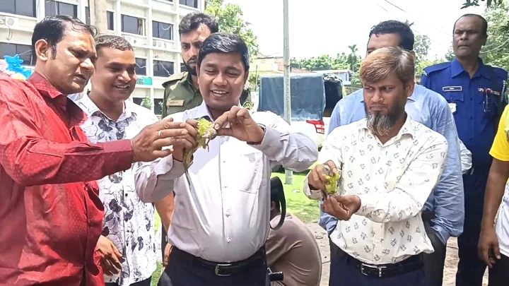 চাঁপাইনবাবগঞ্জের শিবগঞ্জে উদ্ধার টিয়াগুলো উপজেলা পরিষদ চত্বরে অবমুক্ত করা হয়। সংগৃহীত ছবি