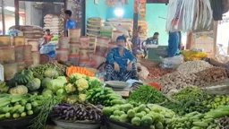 ধামরাইয়ে কমেছে সবজির দাম, স্বস্তি ক্রেতার