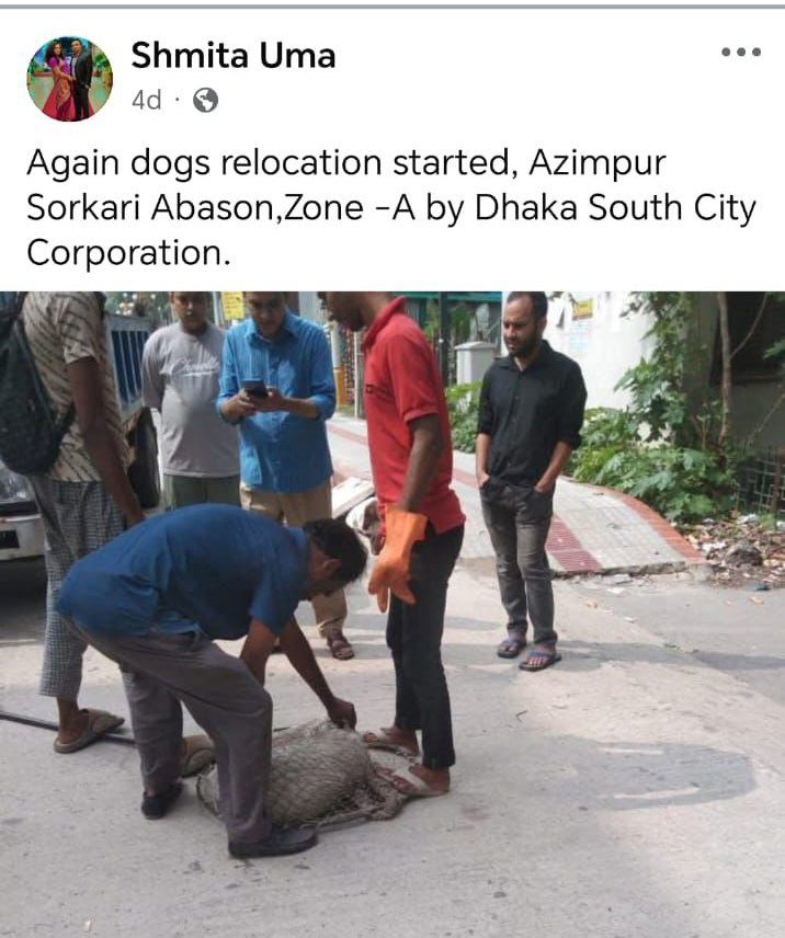 কুকুর তুলে নেওয়ার বিষয়টি সামাজিক মাধ্যমেও সমালোচনার জন্ম দিয়েছে। ছবি: সংগৃহীত