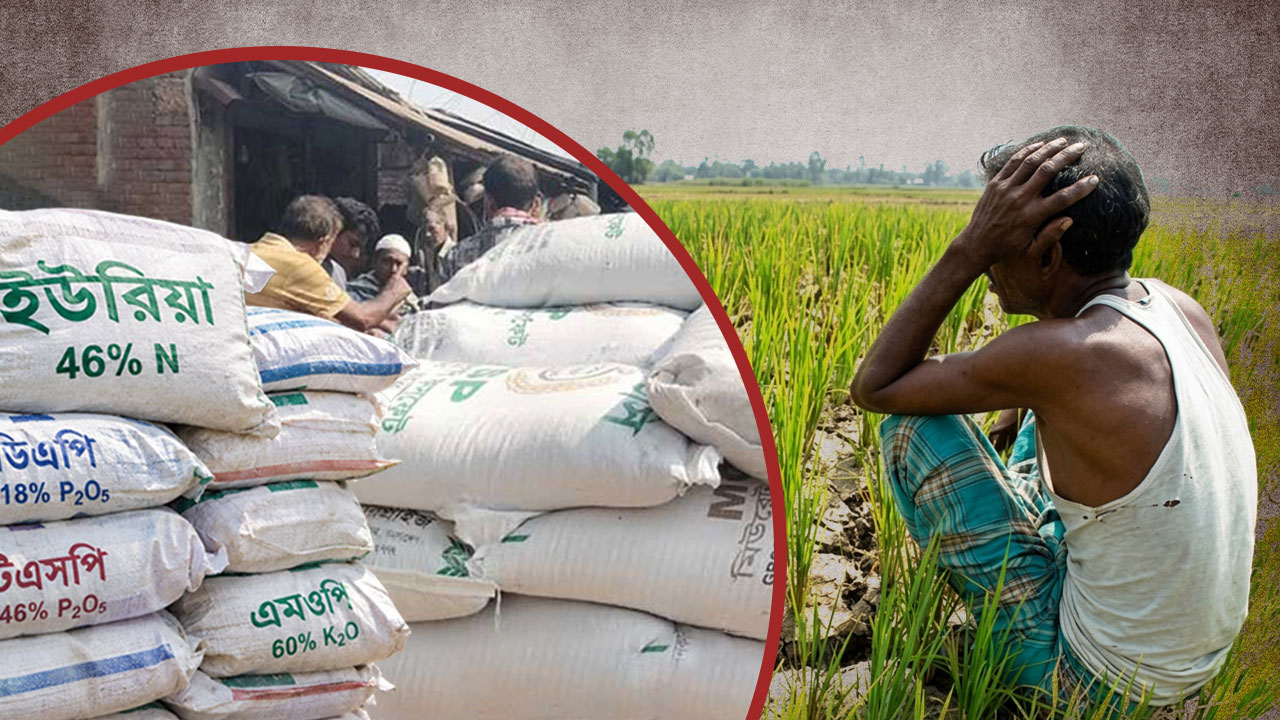 সারের মজুত থাকলেও পাচ্ছেন না কৃষক: সংকট ব্যবস্থাপনায়