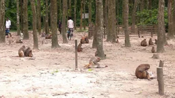 সন্তোষপুরের বনাঞ্চল রক্ষায় ‘ইকোপার্কে’ নতুন সম্ভাবনা