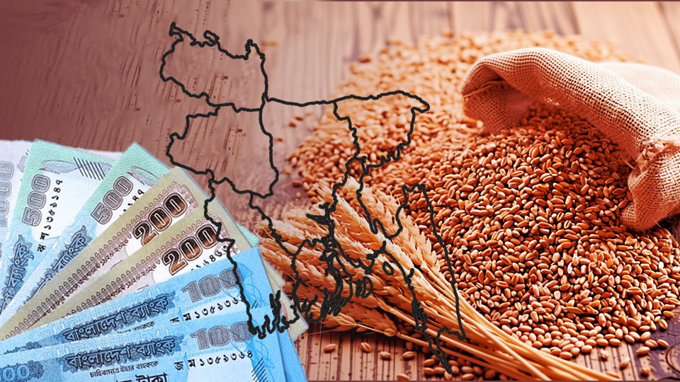 গমের উত্থান: বাংলাদেশের খাদ্যাভ্যাসের পরিবর্তন এবং অর্থনৈতিক বাস্তবতা