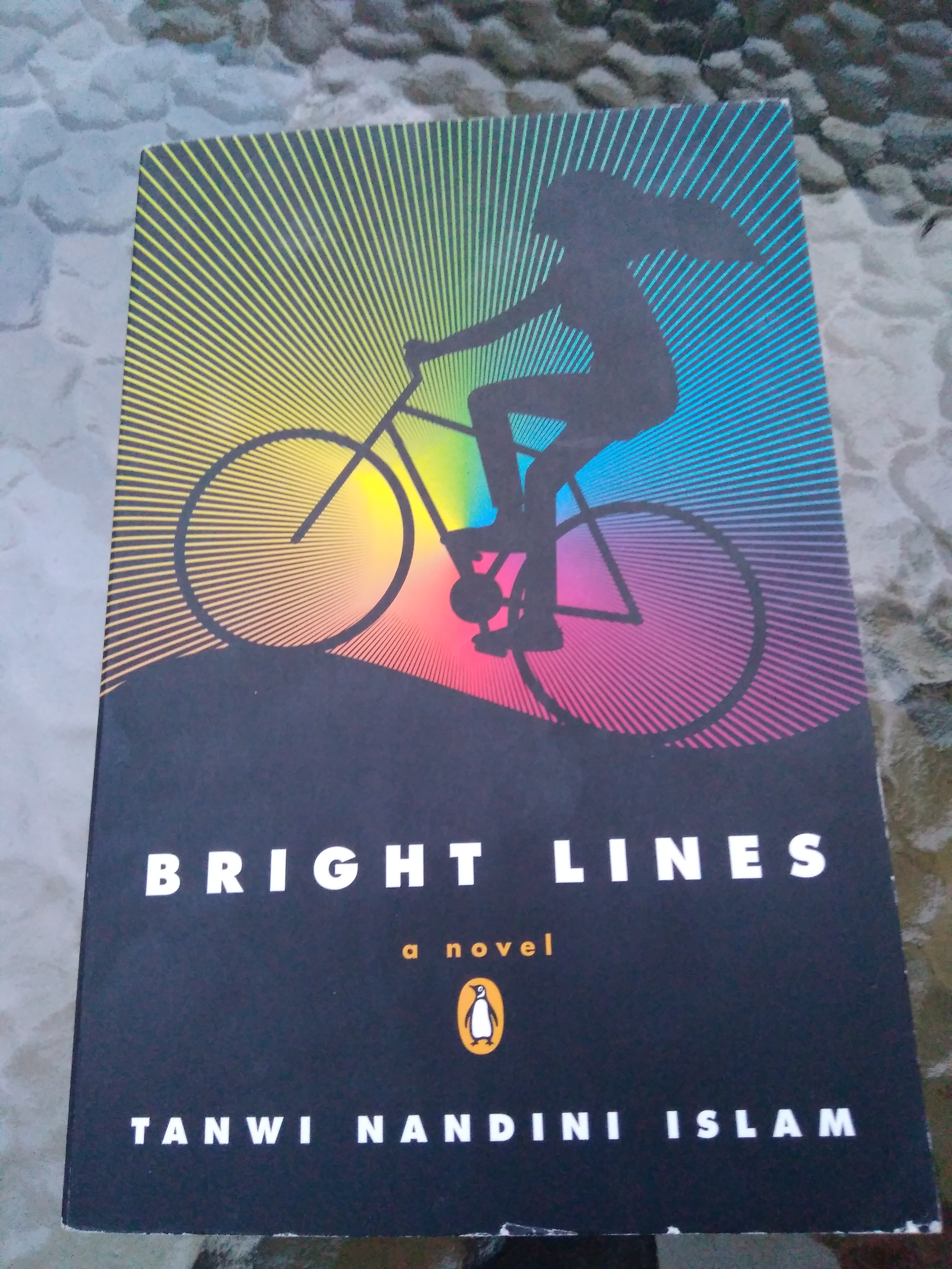 তন্বী নন্দিনীর প্রথম বই ‘Bright lines’ প্রকাশ করেছে বিশ্বখ্যাত পেঙ্গুইন প্রকাশনা। ছবি লেখকের সৌজন্যে
