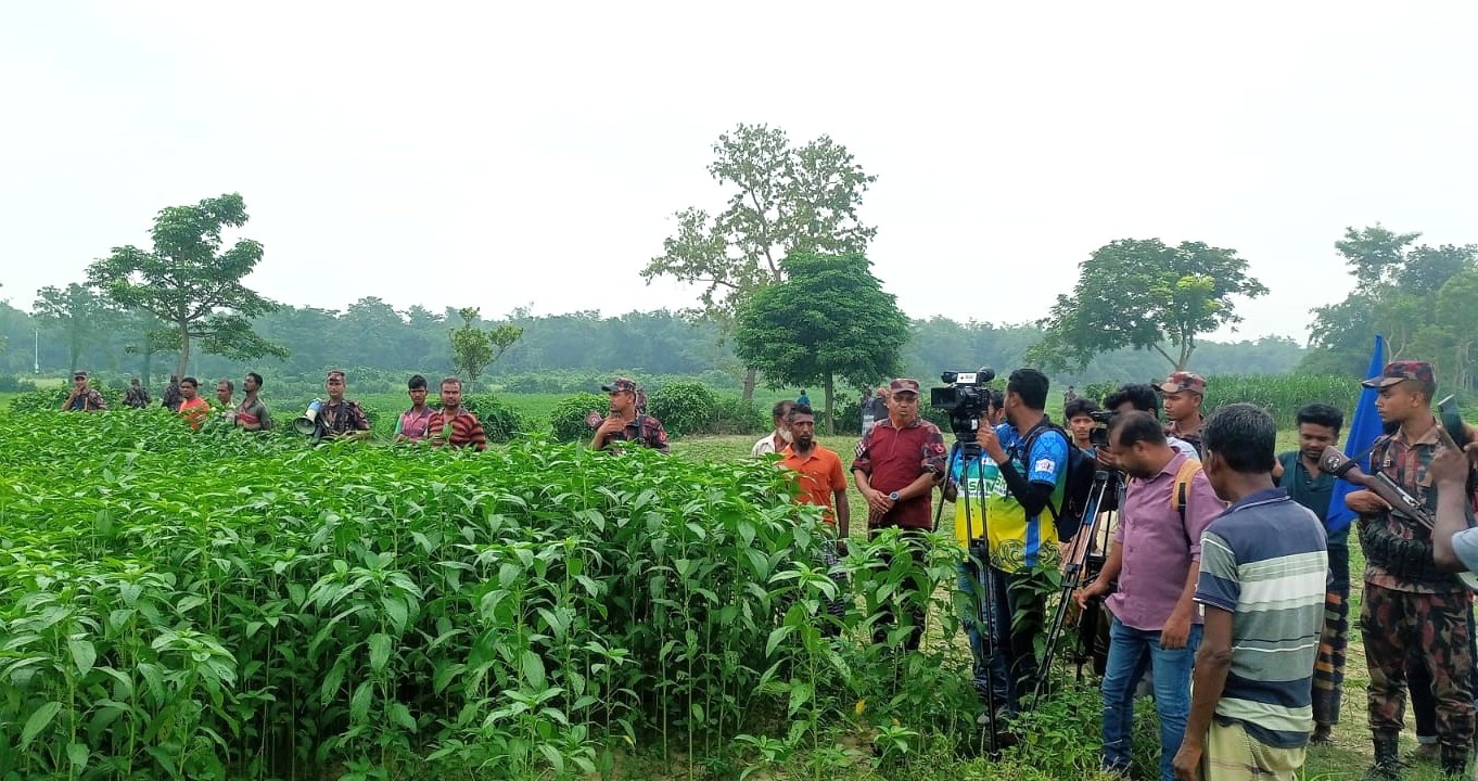 মেহেরপুরের গাংনী সীমান্তে পুশইনের ঘটনায় সকালে বিজিবি ও স্থানীয়দের অবস্থান। সংগৃহীত ছবি