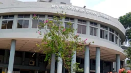 শয্যার দ্বিগুণ রোগী, চিকিৎসক অর্ধেক
