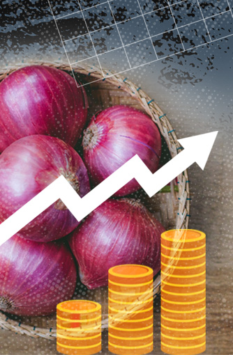 বাংলাদেশে পেঁয়াজের দাম কেন বাড়ে
