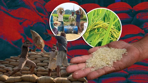 স্ট্রিম গ্রাফিক