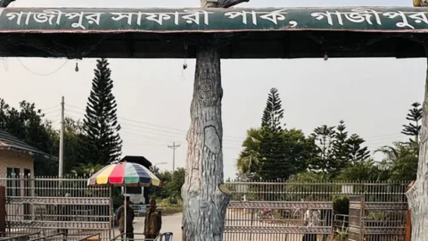 গাজীপুর সাফারি পার্ক। ছবি: সংগৃহীত
