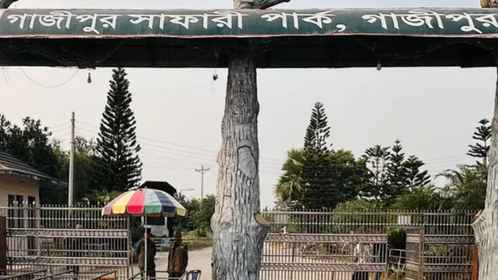 গাজীপুর সাফারি পার্ক। ছবি: সংগৃহীত