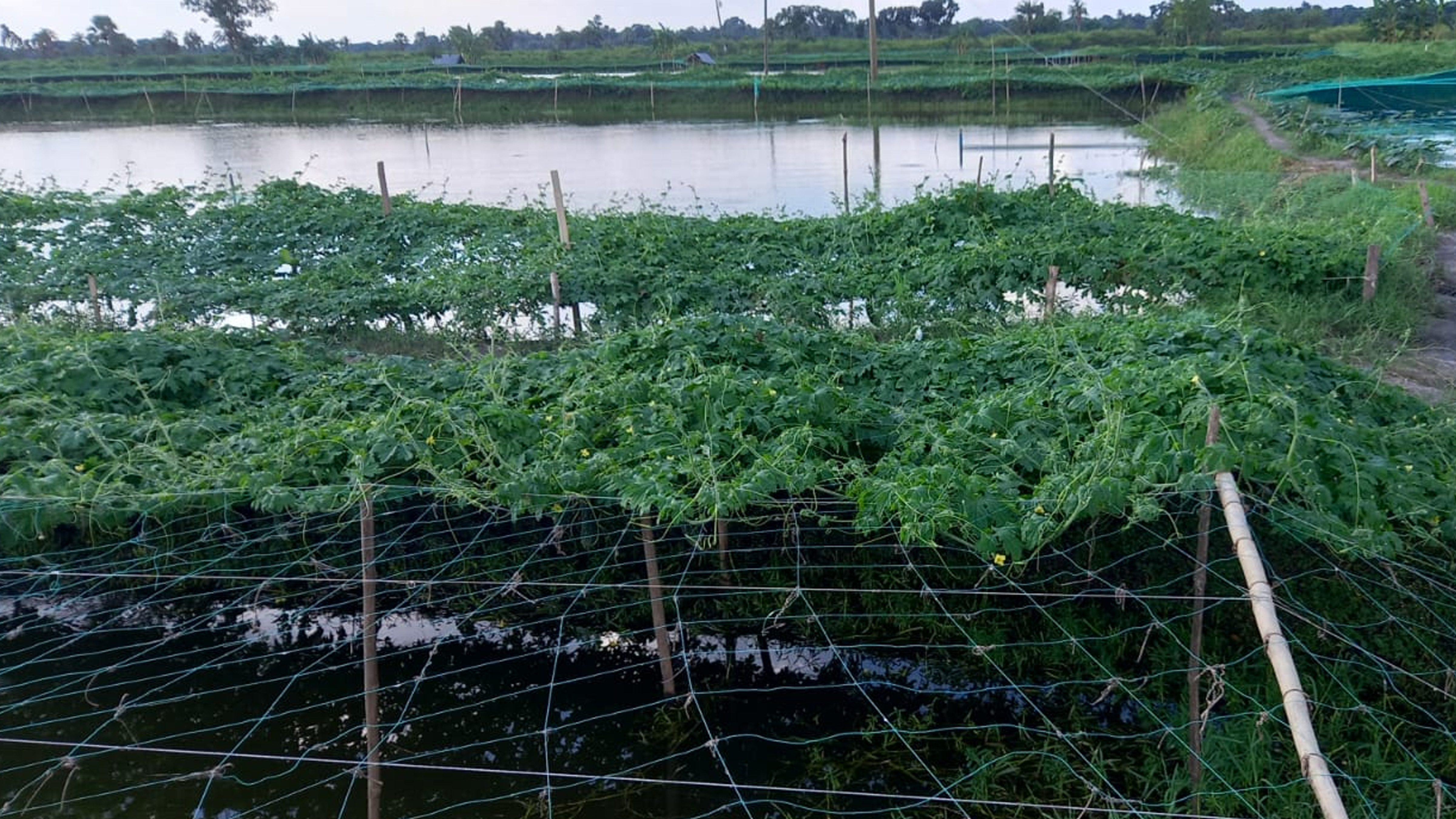 Sathkhira-4