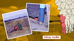 সাতক্ষীরায় ইউনিয়ন বিএনপি কার্যালয়ে বোমা হামলা, দুটি অবিস্ফোরিত উদ্ধার