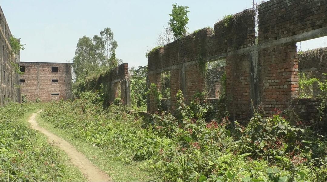 অযত্নে স্থাপনাগুলো ছেয়ে গেছে আগাছায়। স্ট্রিম ছবি
