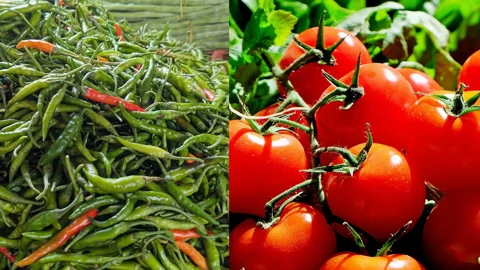 কাঁচা মরিচ-টমেটো আমদানিতে শুল্ক-কর কমছে