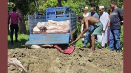 রেস্তোরাঁয় ৪০০ টাকায় বিক্রি হতো ঘোড়ার মাংস, ৫ জনের কারাদণ্ড
