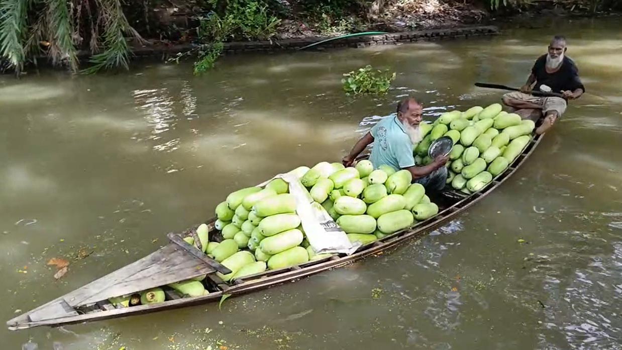 ভাসমান হাটে সপ্তাহে দুদিন ক্ষেতের টাটকা সবজি বিক্রির সুযোগ পান চাষিরা। স্ট্রিম ছবি