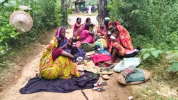 চা-পাতার ভর্তা ‘পাতিচখা’ আর রুটি খেয়ে কাটে চা-শ্রমিকের দুপুর
